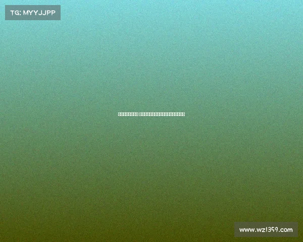 巨星加盟引发热议 球队阵容升级成焦点新赛季前景备受期待